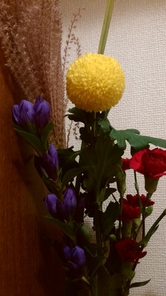 IMG_20150927_230218.jpg