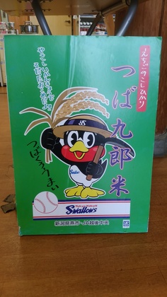 IMG_20151122_140514.jpg