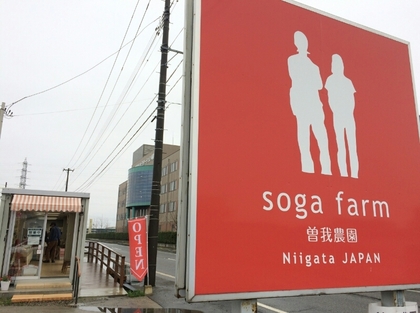 170409soga.jpg