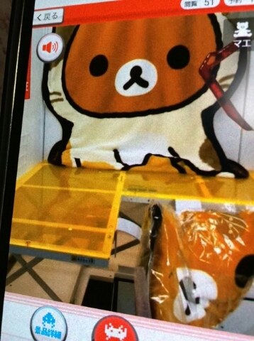 180201kuma.jpg