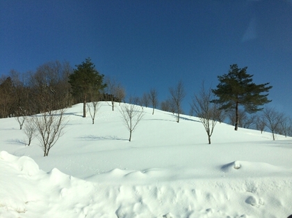 180214vt.jpg