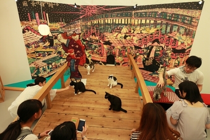 180715neko.jpg