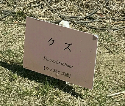 190430.jpg