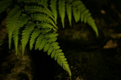 190510.jpg