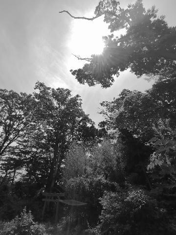 200627.jpg