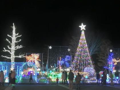 201211.jpg